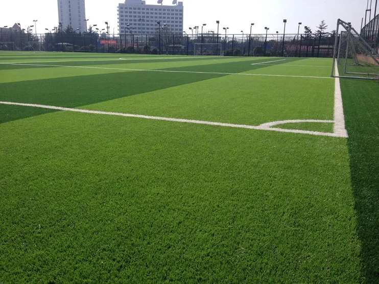 足球場草坪